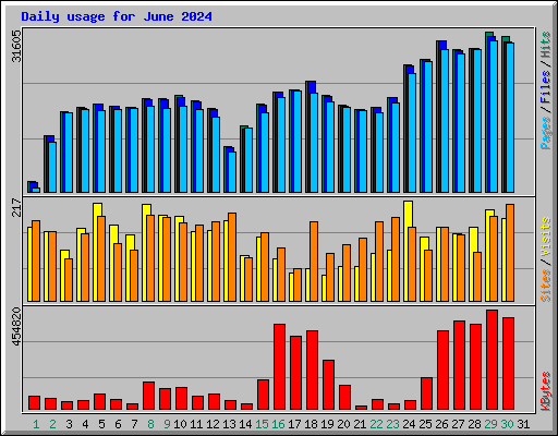 Daily usage for June 2024