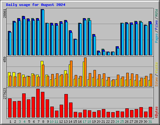 Daily usage for August 2024