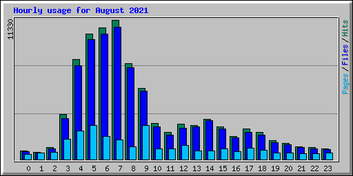 Hourly usage for August 2021