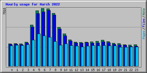 Hourly usage for March 2022