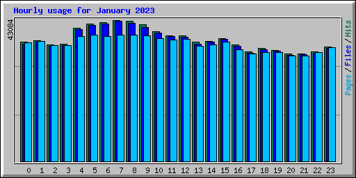 Hourly usage for January 2023