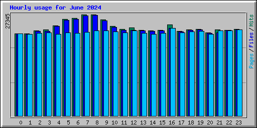 Hourly usage for June 2024