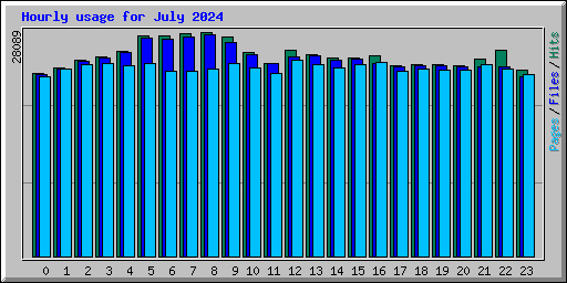 Hourly usage for July 2024