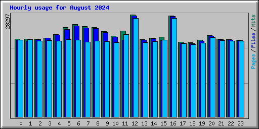 Hourly usage for August 2024