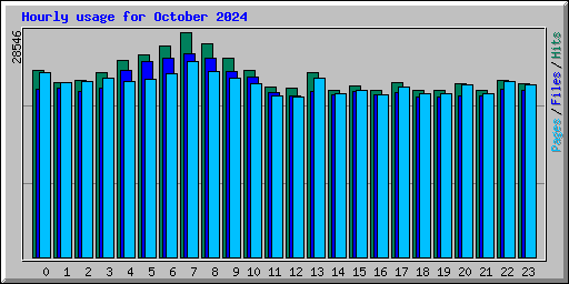 Hourly usage for October 2024