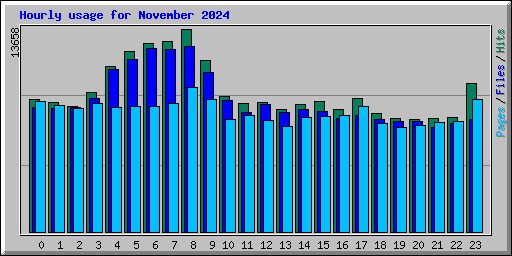 Hourly usage for November 2024