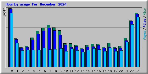 Hourly usage for December 2024