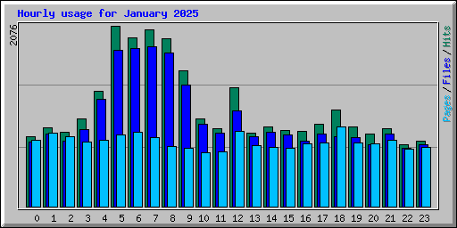 Hourly usage for January 2025