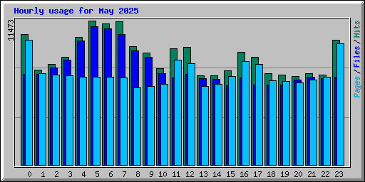 Hourly usage for May 2025