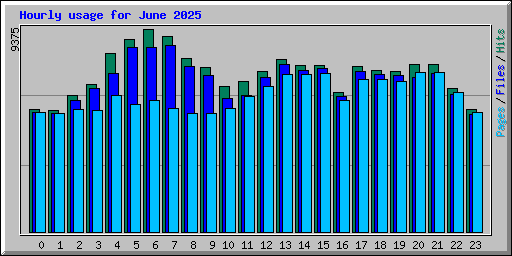Hourly usage for June 2025
