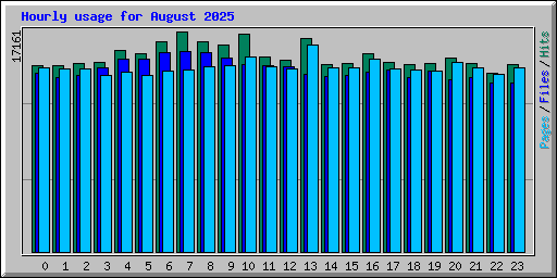 Hourly usage for August 2025