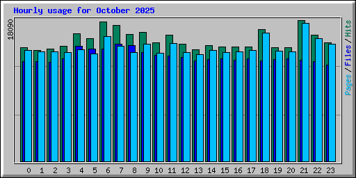 Hourly usage for October 2025