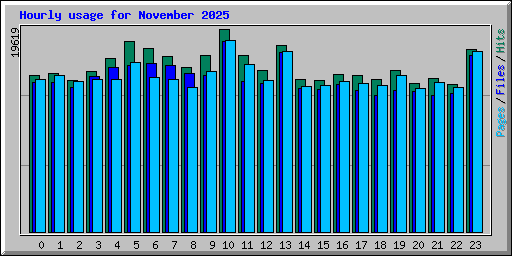 Hourly usage for November 2025