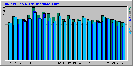 Hourly usage for December 2025