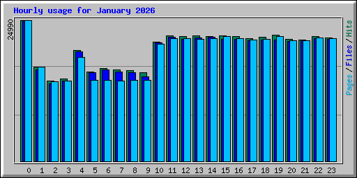 Hourly usage for January 2026